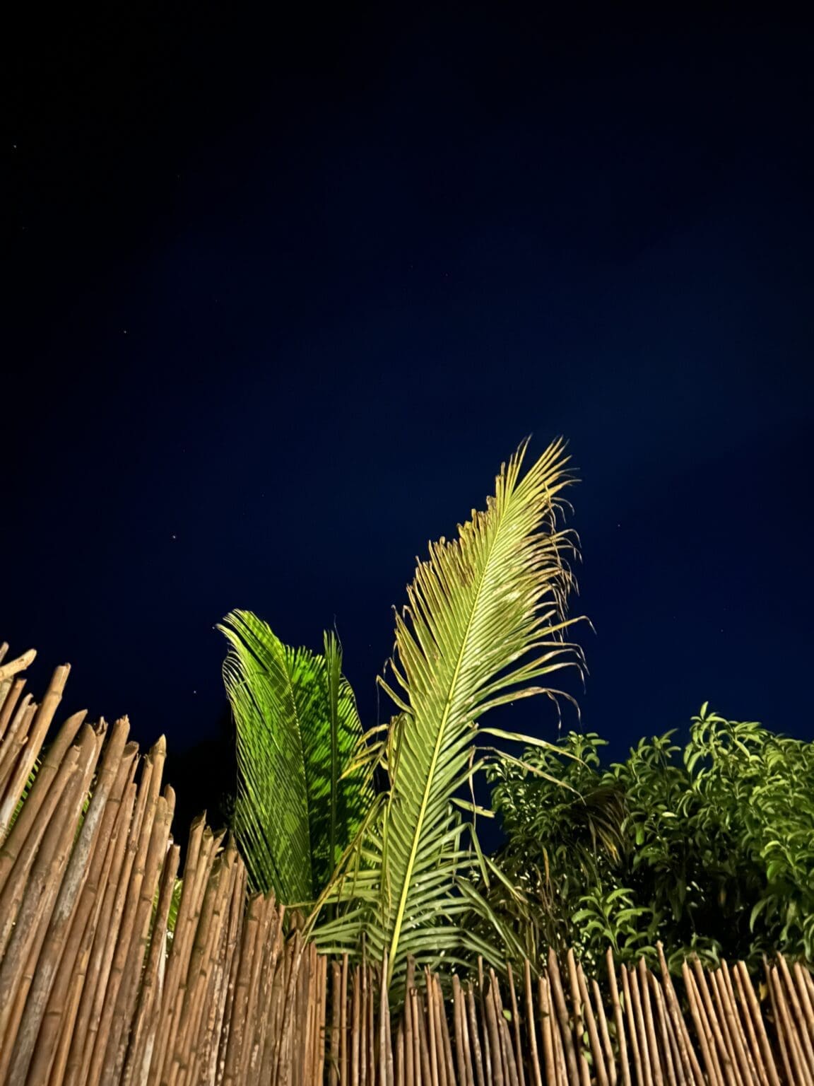 Shubhraangan Pool Side Night Sky