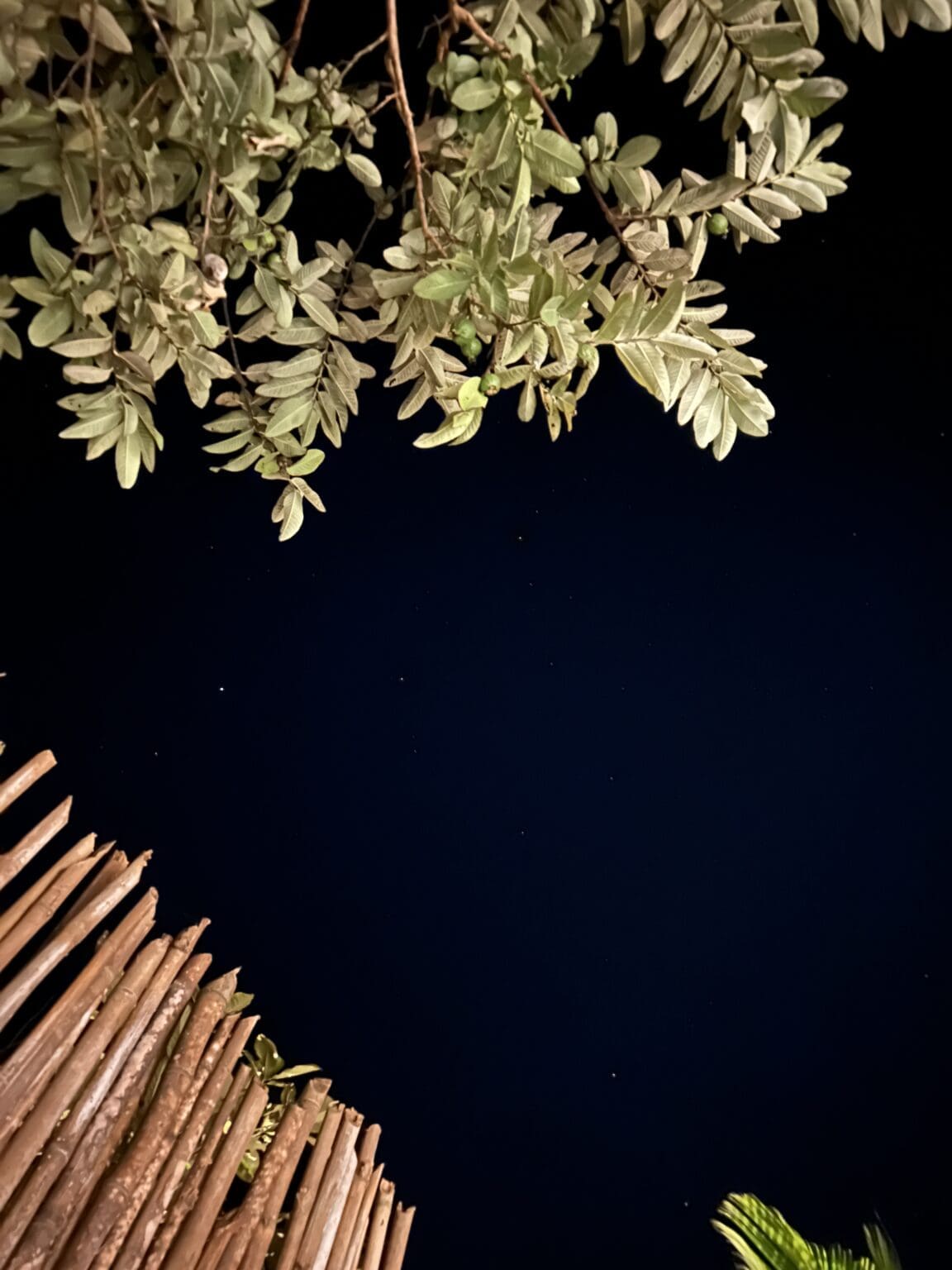 Taraangan Pool Side Night Sky